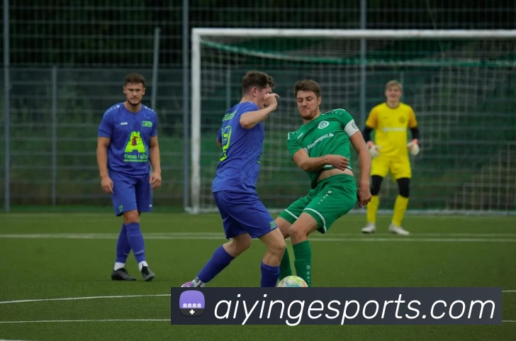 爱赢电竞官网全站App